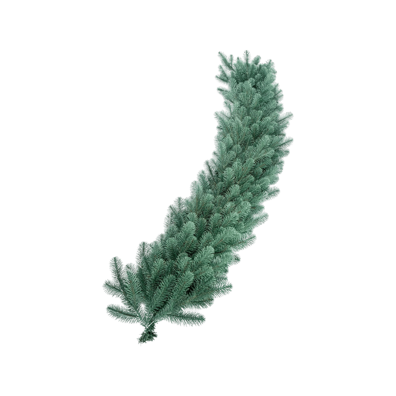 Kunstkuusevanik-Valenciablue