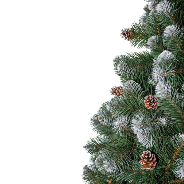 Kunstkuusk-Christmas_Wonder-fragment