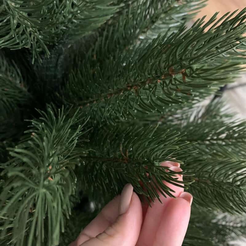 Kunstkuusk REVAL gr.sõrmedevahel