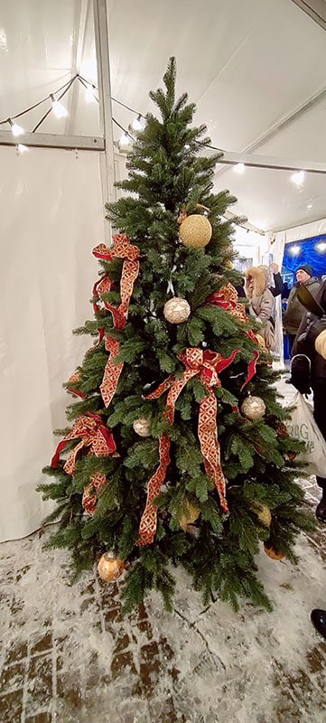 Kunstkuusk--Valencia-kohvikus