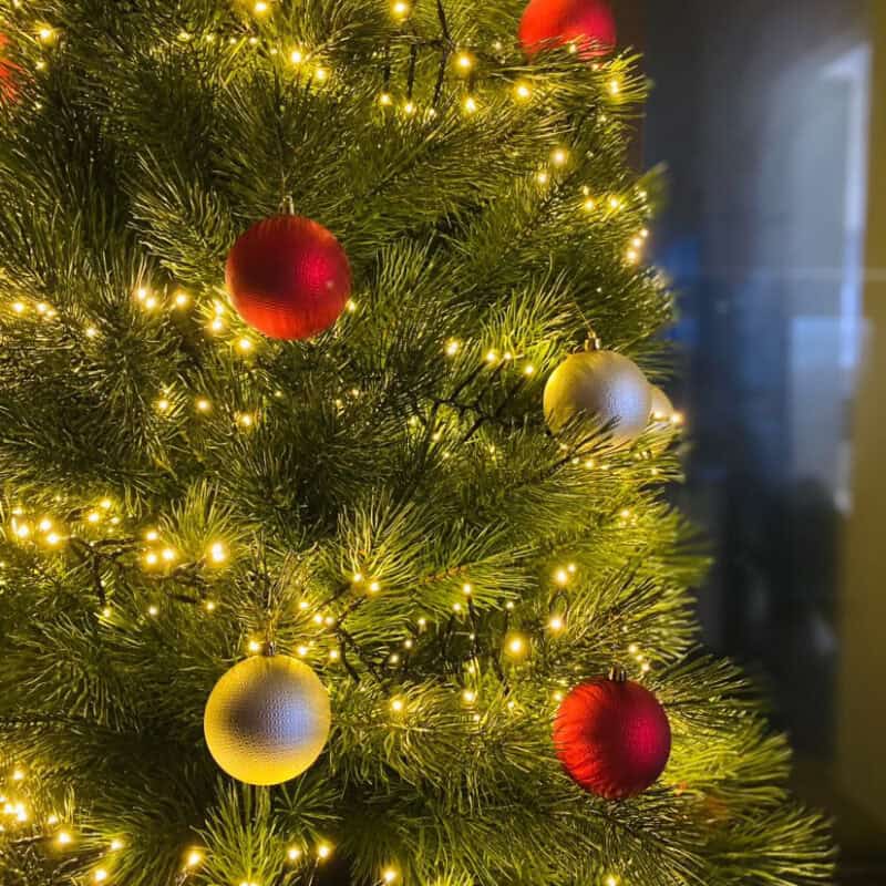 Kunstmänd TUNDRA ehetes lähiplaan